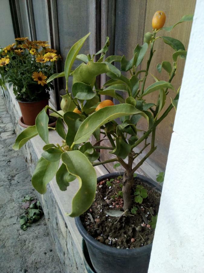 Casa Vacanze Terme Terme Vigliatore Exterior foto