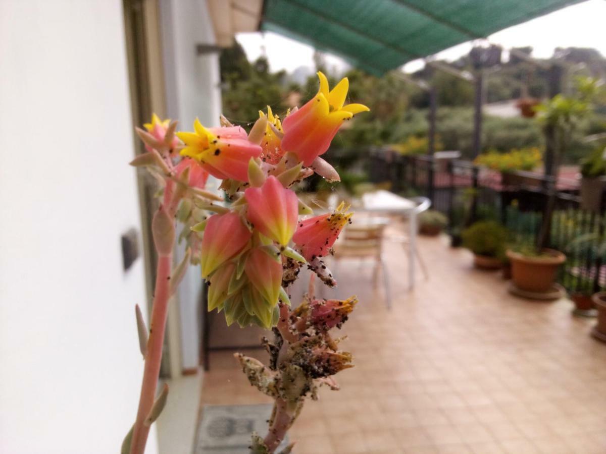 Casa Vacanze Terme Terme Vigliatore Exterior foto